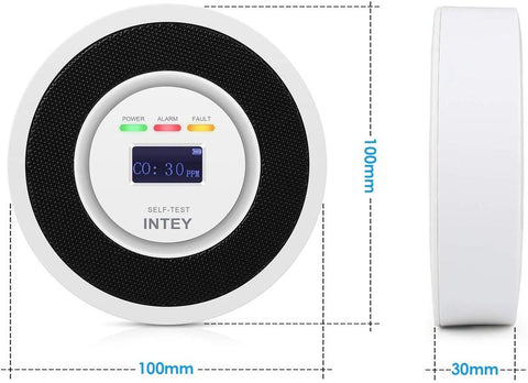 Détecteur de gaz CBE BMTCO, détecteur de monoxyde de carbone, 12 V