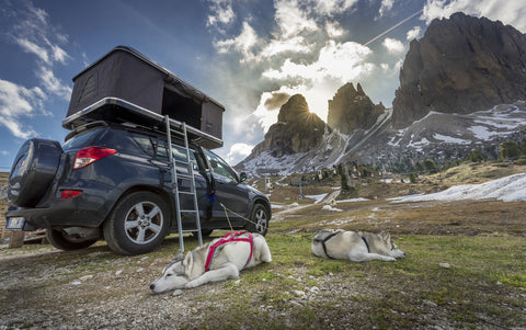 Tenda da tetto rigida Maggiolina Airlander Plus - Tessuto Grigio - Guscio Bianco - Media X-Lunga