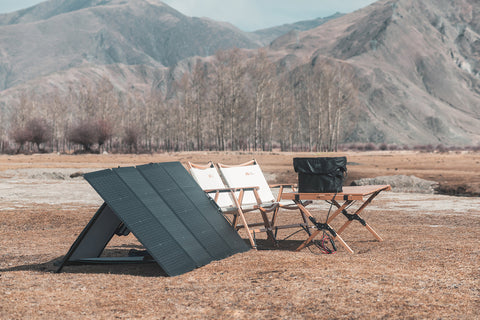 EcoFlow 220 W Bifaziales Solarpanel