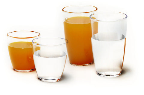 Bicchieri in policarbonato Camp4 300ml - set da 2