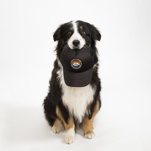 Casquette de camionneur LA VIE EST UN VOYAGE