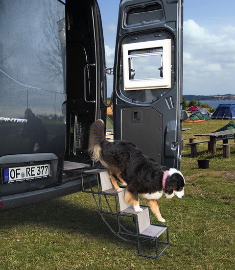 Rampe pliable pour chien Camp4