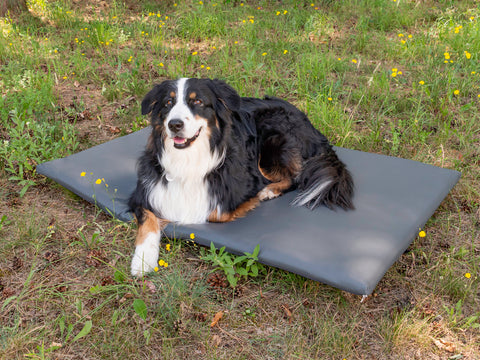 Matelas pour chien - support arrière pour VW T5/T6 California