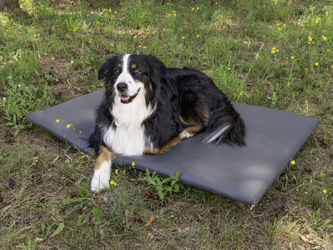 Matelas pour chien - support arrière pour VW T5/T6 California