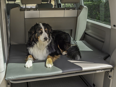 Matelas pour chien - support arrière pour VW T5/T6 California