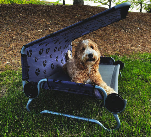 Lit pour chien Disc-O-Bed LIT POUR CHIEN Grand