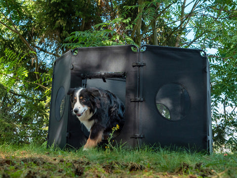 Enclos pliable pour chien