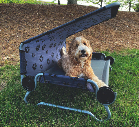Lit pour chien Disc-O-Bed LIT POUR CHIEN Petit