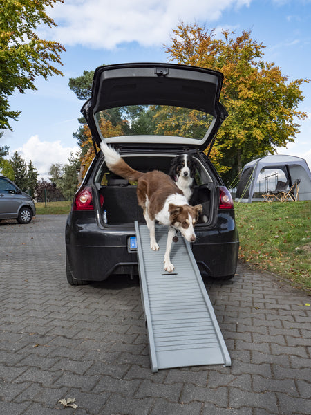 rampe en plastique pour chien Emma