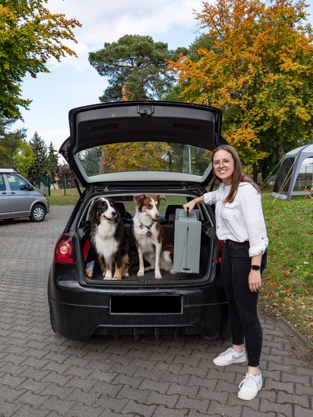 rampe en plastique pour chien Emma