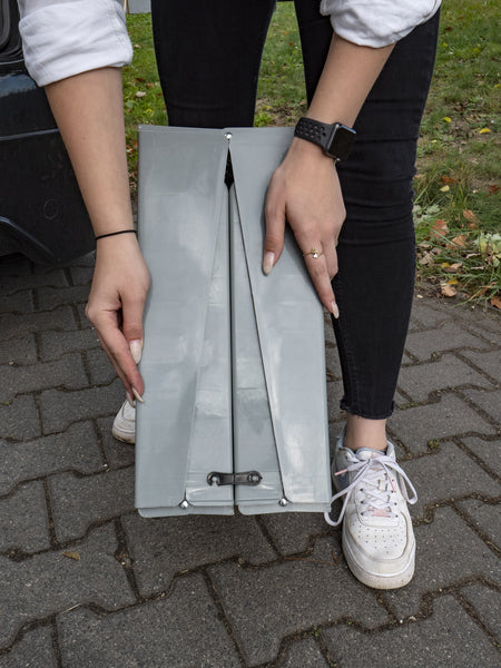 rampe en plastique pour chien Emma