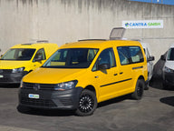 Tendine VW Caddy Maxi (passo lungo), opache