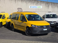 Tendine VW Caddy Maxi (passo lungo), opache