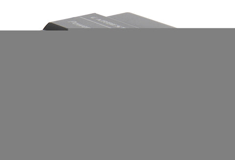 PowerLoad Charger – 10A