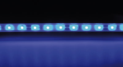 Carbest 5 m 12-V-LED-FLexband Blau für Innen- &amp; Außenbereich