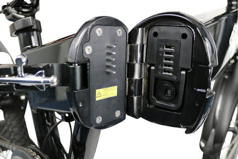 E-Bike CARL 300
