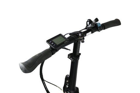 E-Bike CARL 300