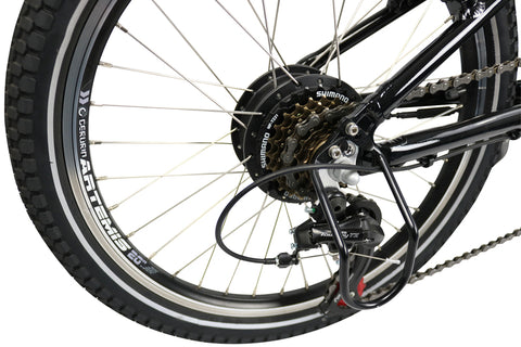 E-Bike CARL 300