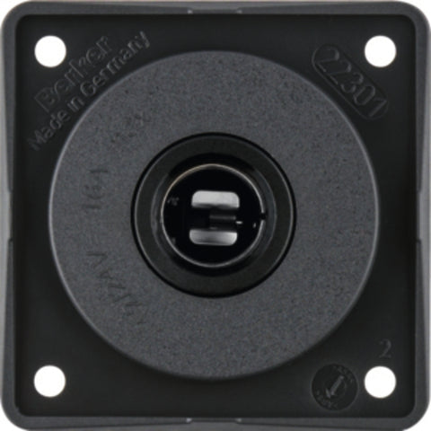 Presa da auto Berker INTEGRO 12V antracite