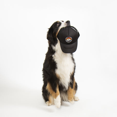 Casquette de camionneur LA VIE EST UN VOYAGE