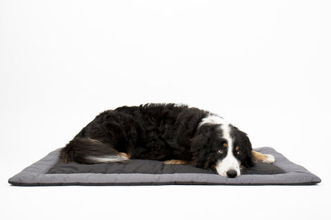 Couverture d'extérieur pour chiens ABBY