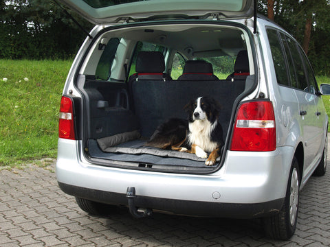 Couverture d'extérieur pour chiens ABBY