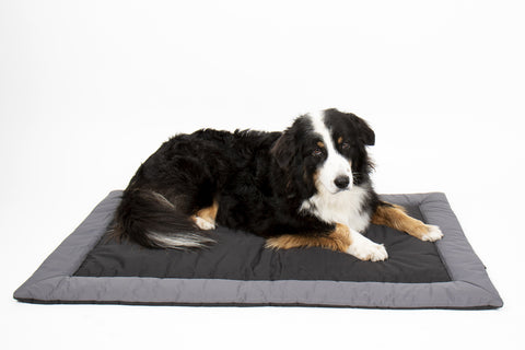 Couverture d'extérieur pour chiens ABBY