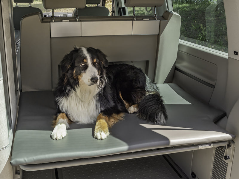 Hundematratze - Heckauflage für VW T5/T6 California